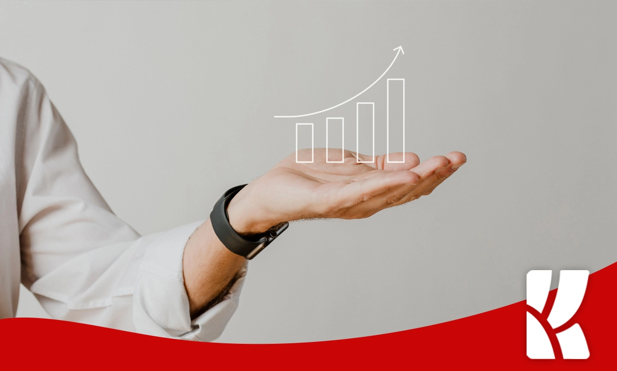 Curtain Store Digital Marketing - Curtain Software E-Invoice and Customer Tracking